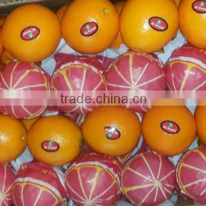 FRESH STYLE Lemon and Navel / Valencia Oranges in Egypt thumbnail-1