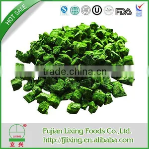 2015 ISO CERTIFICATION - Freeze Dried Spinach Dices Dried Food thumbnail-1