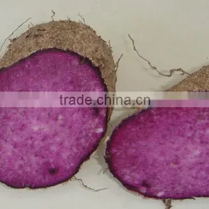 Frozen Purple Yam Whole thumbnail-1