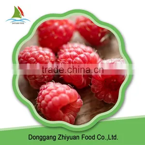 China Hot Sale Extra Quaity Whole Raspberry Frozen thumbnail-5