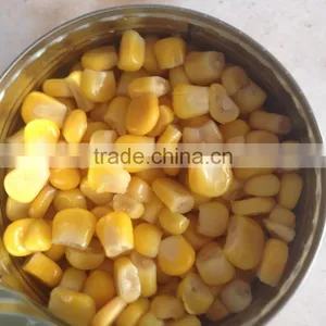 High Quality Canned Sweet Corn Kernel thumbnail-2