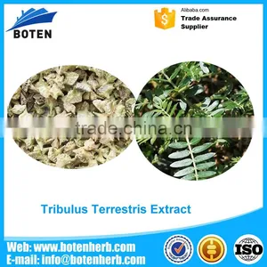 China Supplier Top Quality Tribulus Terrestris Extract With the Best Quality thumbnail-1