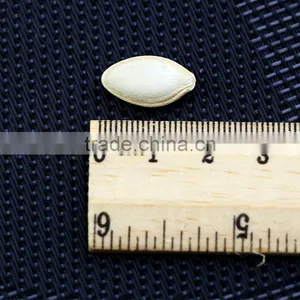 Wholesale RAW Pumpkin Seeds Ton Price thumbnail-3
