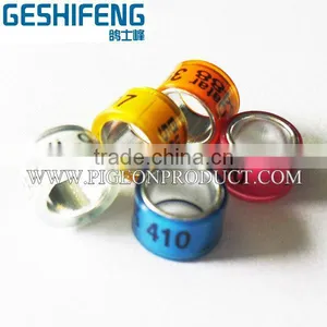 KSA Pigeon Club Pigeon Ring,8mm,10mm thumbnail-1