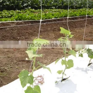 PP Plant Support Net Clamp Netting thumbnail-3