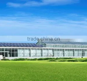 Industrial Greenhouse thumbnail-1