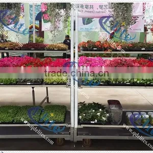 57 Display Danish Flower Trolley Cart With Pulling System for Sale thumbnail-2