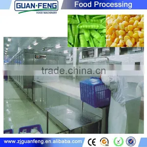 China Manufacturing Tunnel IQF Freezer For Freezing Shrimp Chest Freezer thumbnail-5