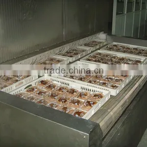 Food Tunnel Freezer thumbnail-2