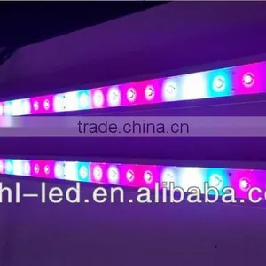 Gehl 2015 Hot Sale Grow Room Led Strip Grow Lights thumbnail-6