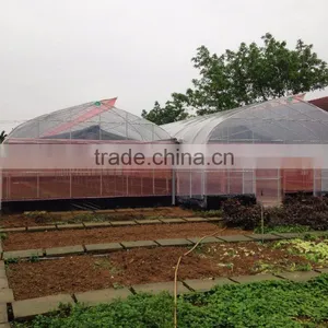 Standard Size or Customized Greenhouse thumbnail-1