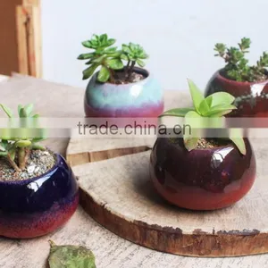 New Christmas Indoor Decor Glazed Small Succulent Pot thumbnail-1