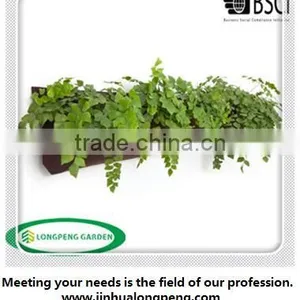 DIY Vertical Garden Green Wall Hanging Pockets Planter thumbnail-1