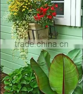 Iron Flower Window Box (LMW_12P07) thumbnail-1