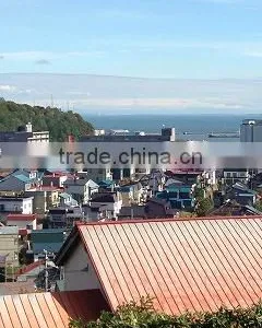 Land for Sale in Otaru, Hokkaido, Japan thumbnail-5
