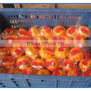 Best Baby Orange Fruit thumbnail-1