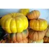 Simulation Procession of Lanterns Fruit thumbnail-1