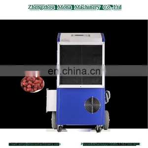 Automatic Vegetable Drying Machine and Fruit Dryer for Herbs/food and Pharmacy thumbnail-1