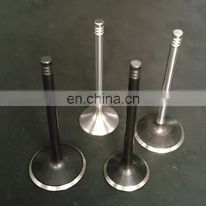 New Discount Automotive Spare Parts Diesel Engine Valve For Asia Topic Towner 2009-2010 thumbnail-4