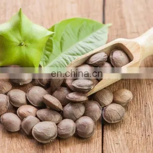 SELLING RAW DRIED SACHA INCHI NUTS FROM VIETNAM thumbnail-4