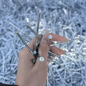 Galvanized Steel Nails for Concrete and Masonry Applications thumbnail-2
