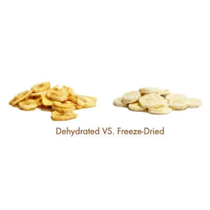Competitive Price Vacuum Freeze Drying Oven New Condition Fruit Processing Machine for Food & Farm Industries thumbnail-5