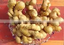 Chinese Fresh Yellow Ginger thumbnail-1