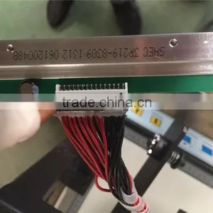 Digital TJ 219 Gild Gold Foil Stamping Printer Machine for Plastic Film thumbnail-5