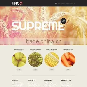 Custom Web Application Development thumbnail-3