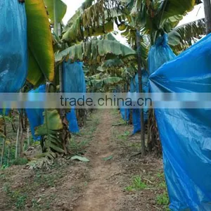 Uv Protection Plastic Banana Bunch Cover 90*200 thumbnail-2