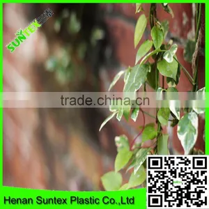 Heavy Duty Long-lasting Polyester Trellis Netting Plant Support Net thumbnail-6