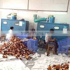 Dongguan Yuequan Toys Co., Ltd. company overview - view 3 thumbnail