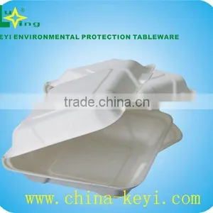 Disposable Food Container thumbnail-1