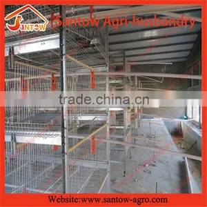Stable Steel Structure Professional Chicken Egg Layer Cage Chicken Egg Layer House Design thumbnail-1