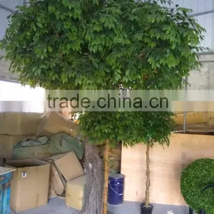 Natural Look Artificial Greenery Tree Banyan Tree for Indoor and Outdoor Decor thumbnail-1