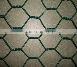 PVC Coated Green Chicken Wire Mesh(factory) thumbnail-1