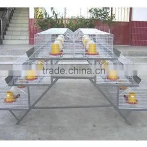 Automatic Feeding Quail/chicken Cage of Poultry Farming Equipment thumbnail-2
