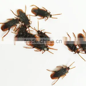 Halloween Props China, Cockroach Toy thumbnail-5