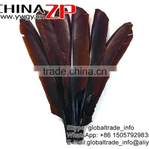 Leading Supplier ZPDECOR Crafts Factory Wholesale Dyed Brown Turkey Pointers Quill Large Feathers for Sale thumbnail-2