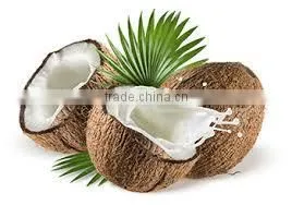 Coconut Milk thumbnail-1
