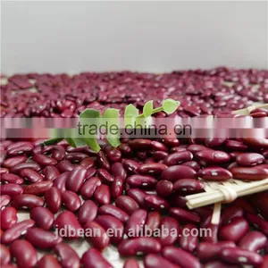 Dark Red Kidney Bean Big Size 200-220pcs/100g Rajma for Canned thumbnail-5