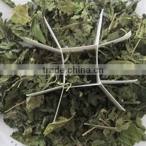 Mulberry Leaf Natural Herbal Tea thumbnail-2