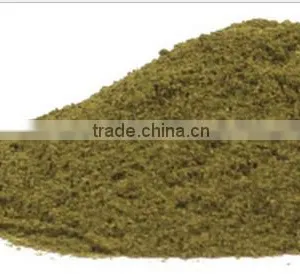 Senna Extract Powder thumbnail-1