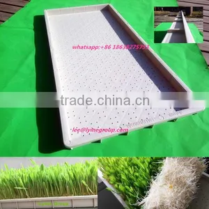 Plastic Propagation Tray(seeding Tray) thumbnail-1