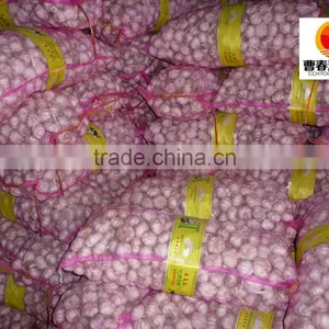 Chinese Exported Air Dried Normal White Garlic thumbnail-4