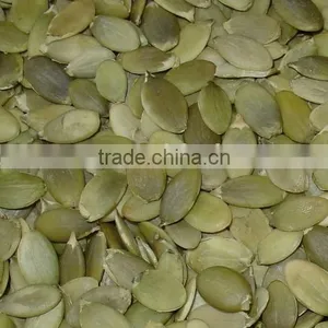 Pumpkin Seeds thumbnail-1