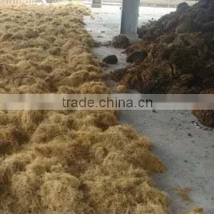 Coconut Fiber Open Processing Machine thumbnail-5