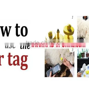 Custom PET RFID Cattle Tagss With UID Printing, HF Passive RFID Animal Ear Tags for Pigs, Sheep, and Cattle thumbnail-2