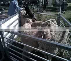 High Strength Cow Farm Guard Galvanized Field Fence thumbnail-3