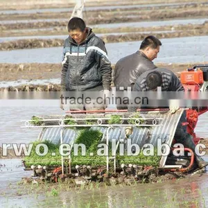 6 Rows Ride Rice Transplanter thumbnail-1